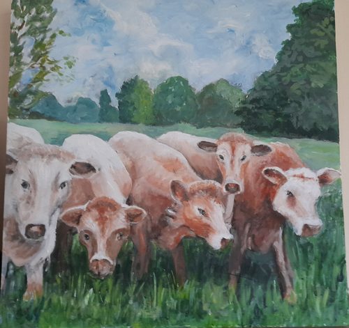 Gail, Cows in Hawes, acrylic.